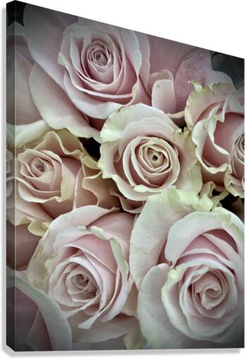 V92 Canvas Print