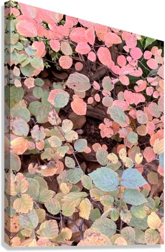 V94 Canvas Print