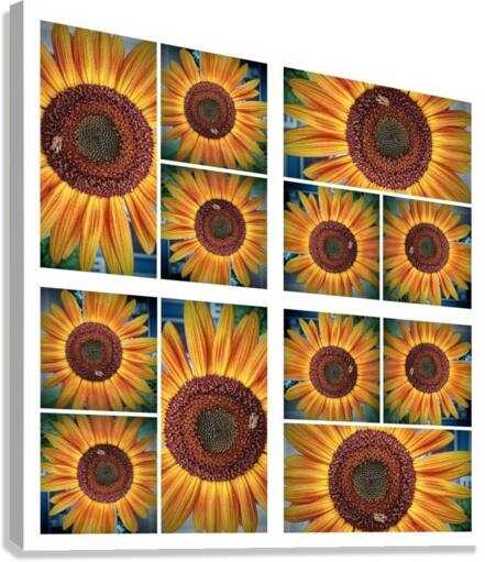 V95 Canvas Print