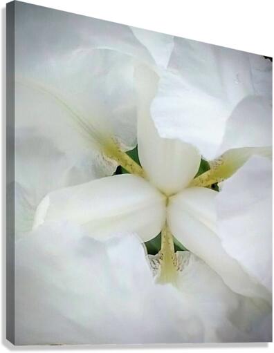 V98 Canvas Print