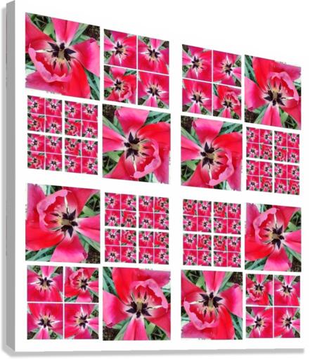 V125 Canvas Print