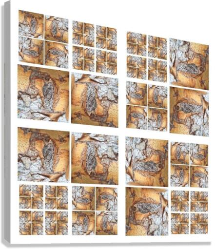 V126 Canvas Print