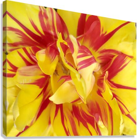 V128 Canvas Print