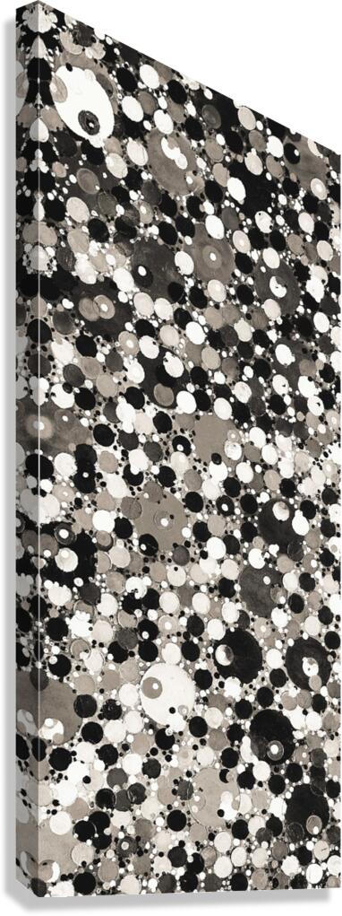V131 Canvas Print