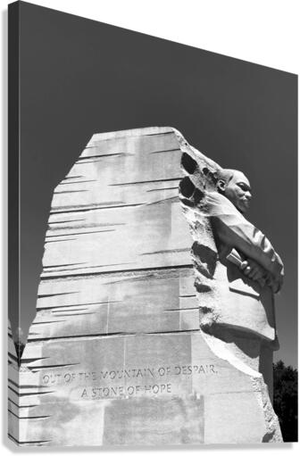 V135 Canvas Print