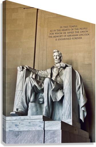V136 Canvas Print