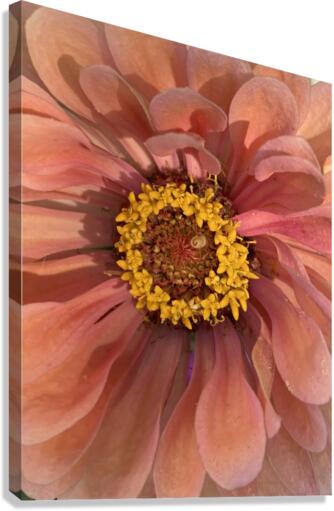V138 Canvas Print