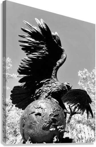 V141 Canvas Print