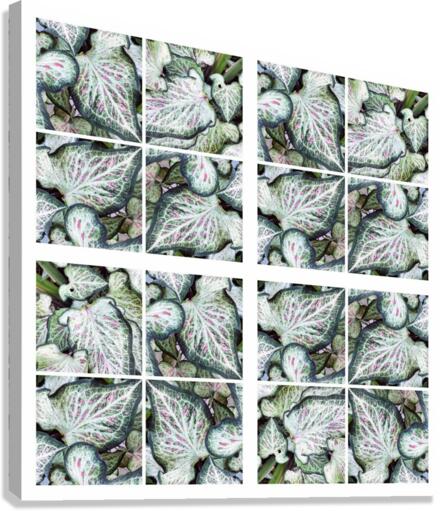 V142 Canvas Print
