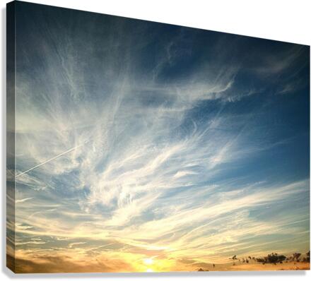V145 Canvas Print