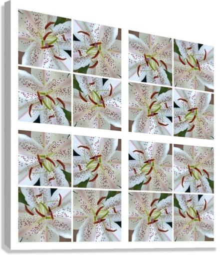 V146 Canvas Print