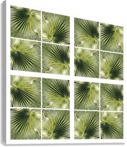 V147 Canvas Print