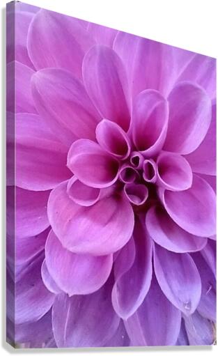 V148 Canvas Print