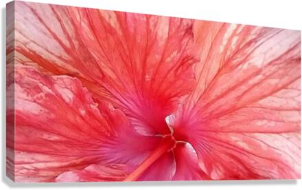 V149 Canvas Print