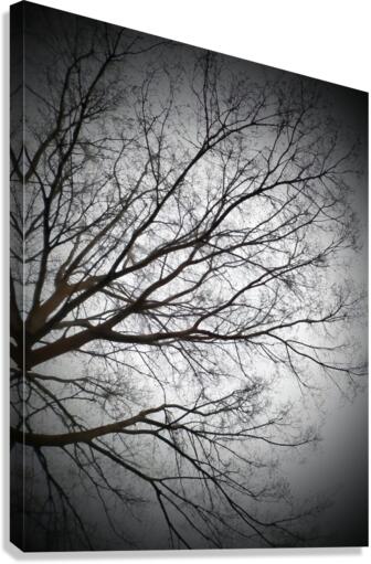 V151 Canvas Print