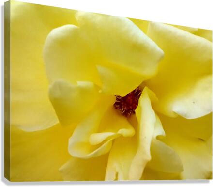 V154 Canvas Print