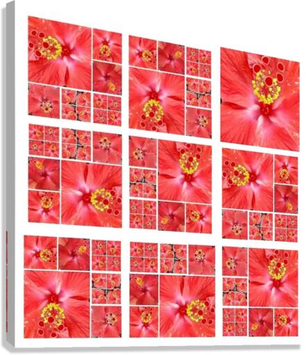 V155 Canvas Print