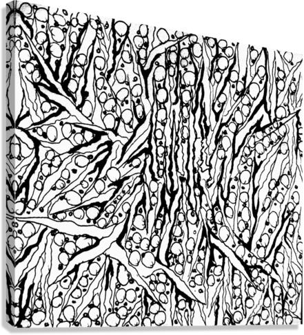 V162 Canvas Print