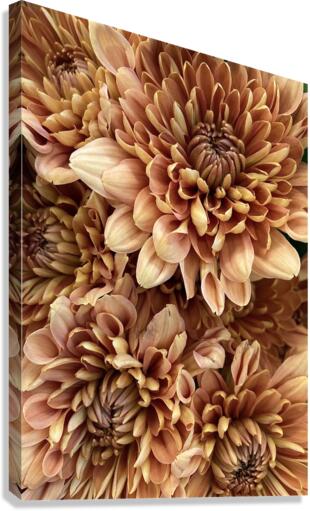 V174 Canvas Print