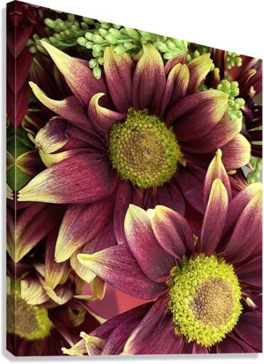 V175 Canvas Print