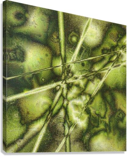 V176 Canvas Print