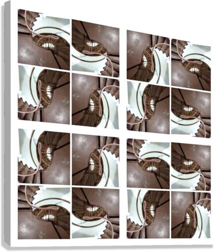 V179 Canvas Print
