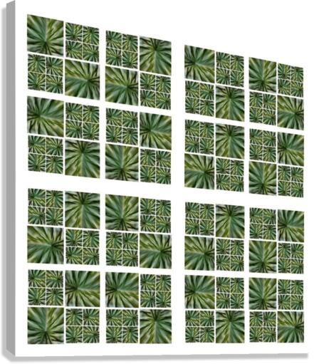 V180 Canvas Print