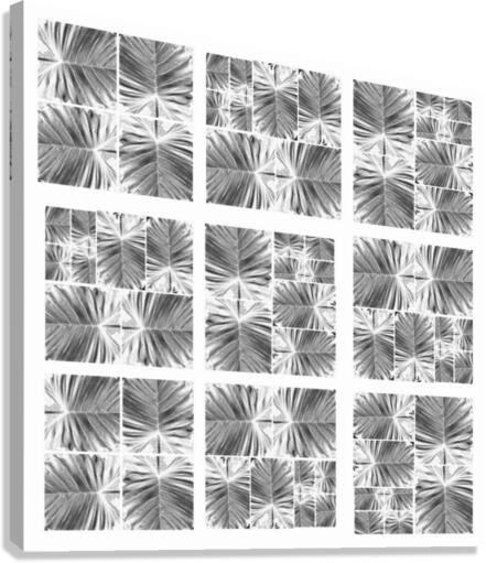 V181 Canvas Print