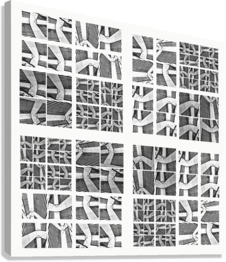 V197 Canvas Print