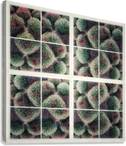 V207 Canvas Print