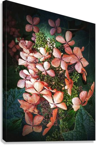 V208 Canvas Print
