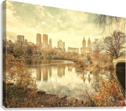 V219 Canvas Print