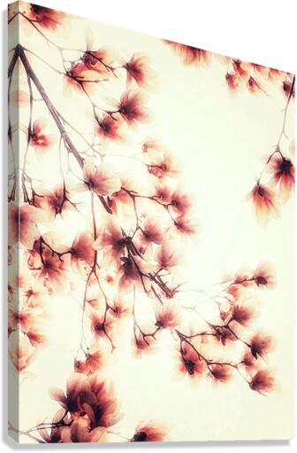 V224 Canvas Print