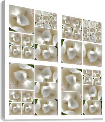 V225 Canvas Print