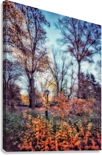 V226 Canvas Print