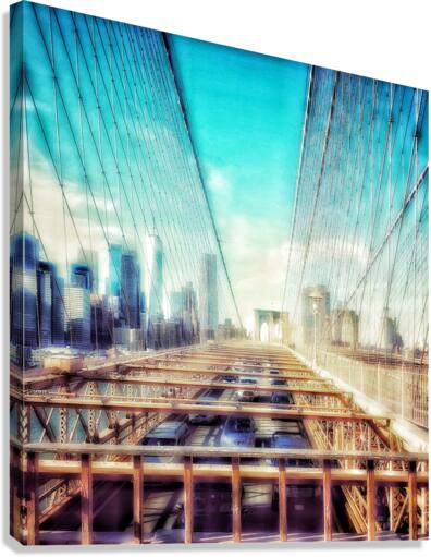 V229 Canvas Print