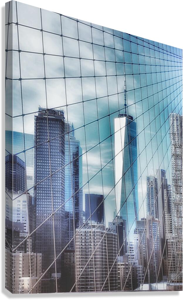 V235 Canvas Print