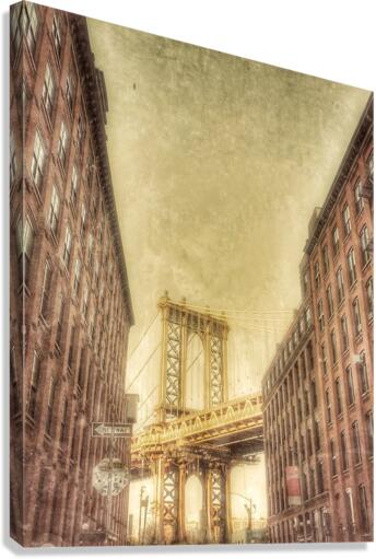 V236 Canvas Print