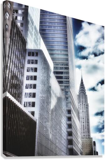 V237 Canvas Print