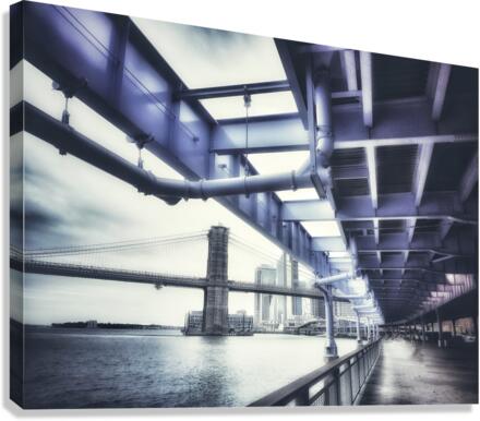V238 Canvas Print
