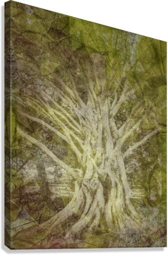 V243 Canvas Print