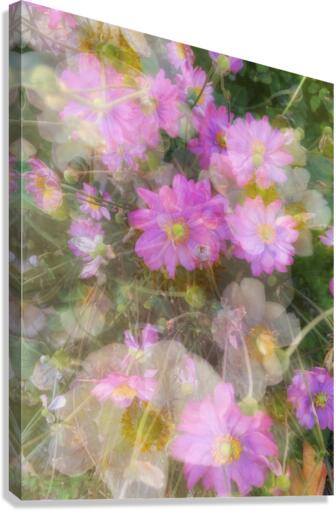 V244 Canvas Print