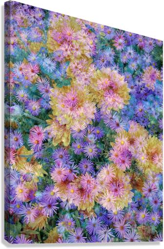 V245 Canvas Print