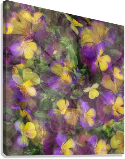 V246 Canvas Print