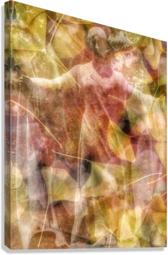 V247 Canvas Print