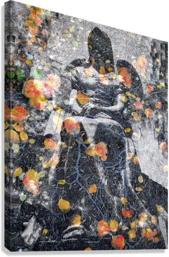 V248 Canvas Print