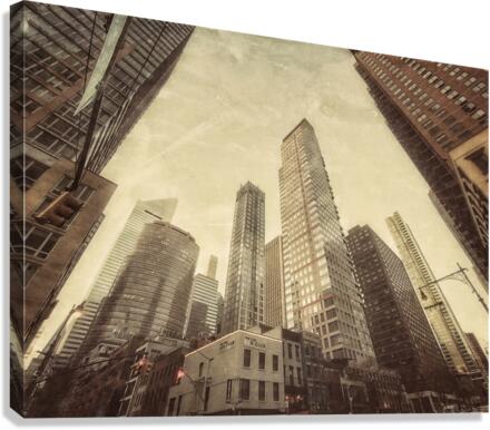V251 Canvas Print