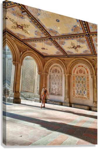V255 Canvas Print