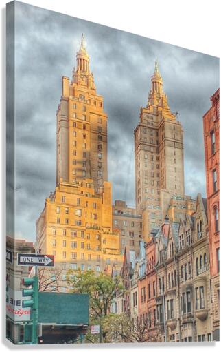 V256 Canvas Print