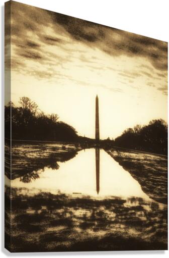 V260 Canvas Print